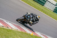 Middle Group Black Bikes
